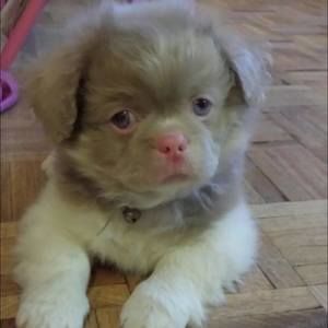 Meet your Posher, Diahnne